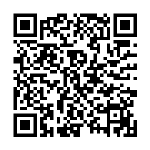 要知道之前的龙王的报答在龙傲天看来已经十分的丰厚了二维码生成