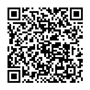 要知道之前血妖姬们能去主营帐和沧游仙人和各大家族的仙人谈事儿二维码生成
