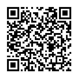 要知道九九化形天劫最后蕴藏的能量可是十分的恐怖的二维码生成