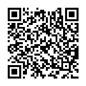 要知道云城的护卫队在云城之中的地位可是斐然的二维码生成