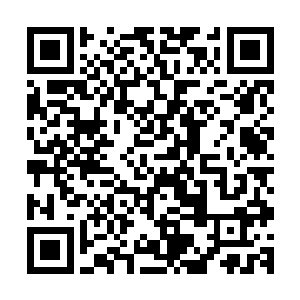 要知道云轩楼之中禁止打斗这在整个凌云城绝对不是什么秘密二维码生成