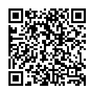 要知道他们从普吉岛登船前往布桑加岛原本是可以算作偷渡的二维码生成