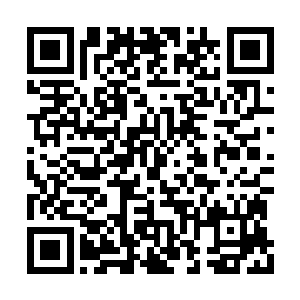 要知道他们当中的很多人跟老大是极其不对付的二维码生成