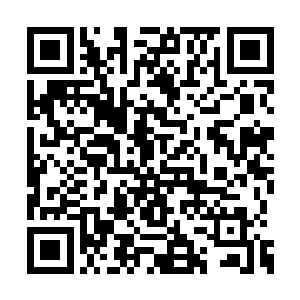 要知道他和吴凯还正等着唐菲将周狼屈打成招呢二维码生成