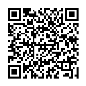 要知道他的地炎鼎可是顶尖的地品本源圣器级别的法宝二维码生成