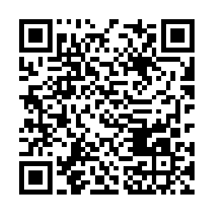 要知道他自己的仙力和龙力虽然被搅合折腾的厉害二维码生成