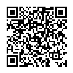 要知道他身边的几个女人一个个实力也是强的惊人二维码生成