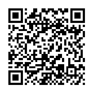 要知道以蒙恬的性格肯定是不会在这种休闲的事儿上浪费时间二维码生成