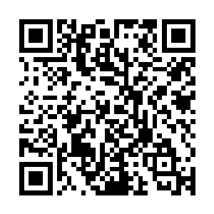 要知道凤火舞的情况有多么的恐怖他们心中可都是十分的清楚的二维码生成