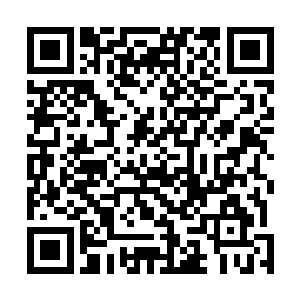 要知道凤火舞的识海之中可是封存着一尊十分恐怖的存在二维码生成