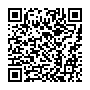要知道刚刚他可是看到了两个小家伙眼里的一抹幽光二维码生成