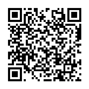 要知道刚才的时候他可是想要给龙傲天一个下马威二维码生成