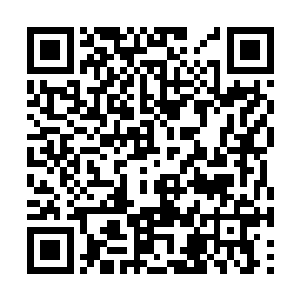 要知道刚才这位姐姐可是一瞬间喝了一瓶多红酒啊二维码生成