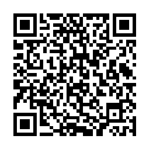 要知道剑修一道的剑气乃是世间最为犀利锋利的攻击二维码生成