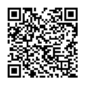 要知道华夏去年的军费总开支也不过9800亿人民币二维码生成