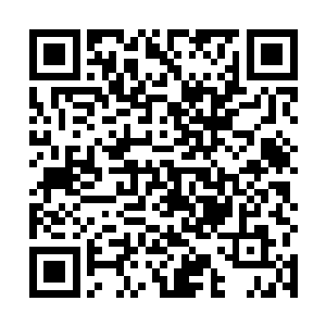 要知道叶然的力量可不是寻常的淬体境九层所能拥有的二维码生成