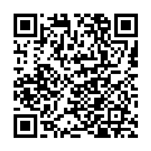 要知道哪个士族家都会有一大群庶子根本不能记在族谱上二维码生成