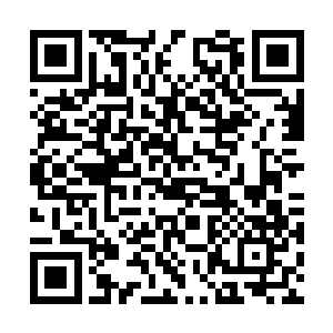 要知道在场的众人之间那可都是存在着竞争关系的二维码生成