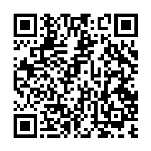 要知道在造化图空间可是刚刚出现了一颗玄黄圣树二维码生成