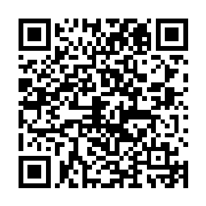 要知道城主府的宝库可是用来维持整个城池运转之用的二维码生成