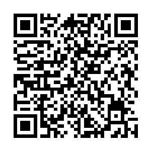要知道她在原剧情中的生活相对夏兮来说那是相当的滋润啊二维码生成