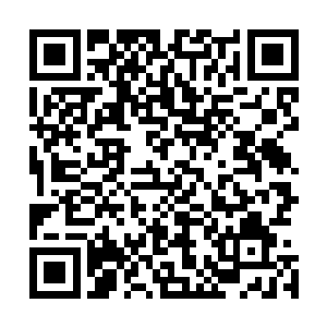 要知道她在音阁的待遇已经是不输一些分神级的音阁子弟了二维码生成