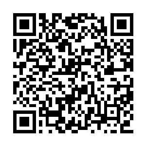 要知道如今的陈家庄在几个月之前可是一片死地二维码生成