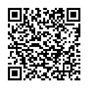 要知道如今那些仙城都是将大阵开启到了最大的威力二维码生成