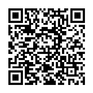 要知道如果说上一次封神之战中有谁成为了最后的赢家二维码生成