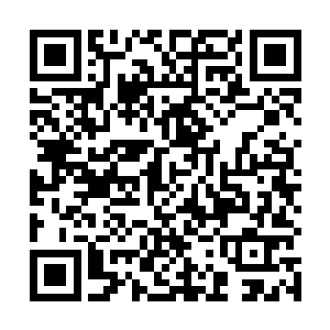 要知道婆罗洲的整个东部内陆都是茫茫的原始热带雨林二维码生成
