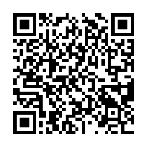 要知道学籍这样的事情可是伴随着孩子的一辈子的二维码生成