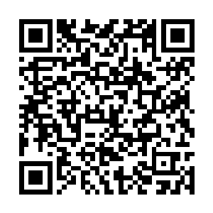 要知道它们对我来说也不过是两件昂贵的首饰而已二维码生成