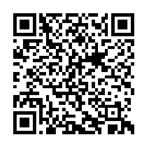 要知道宇无殇可是已经困在了半帝顶峰无数年了二维码生成