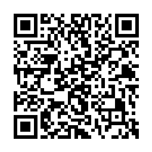 要知道就是两箱的极品仙晶加起来也有二十万亿二维码生成