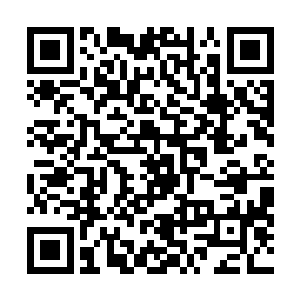 要知道就连城主大人容云大师他们都不知道苏落爹爹是谁二维码生成