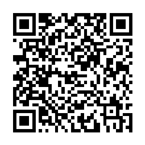 要知道尼克古拉斯可是能越级挑战的一只上古海兽二维码生成