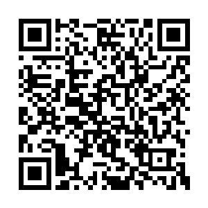 要知道岛国的海军大将可以能够秒杀那些海盗的二维码生成