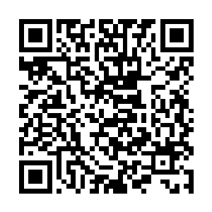 要知道当初龙傲天也不过是传了菲利普斯一招太极剑二维码生成