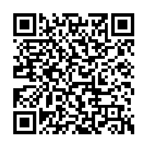 要知道我们红尘设计的首席基本工资还有八千呢二维码生成