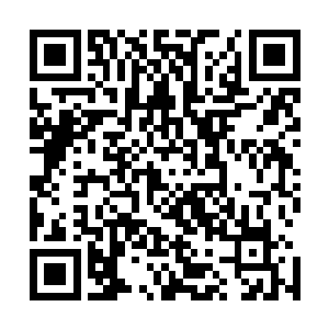 要知道此时杨戬两个人可是在造化图空间之中足足呆了十天二维码生成