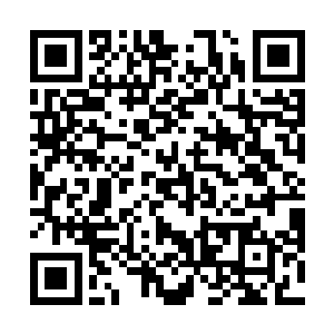 要知道每一个古神顶峰的高手身上肯定都有不少的底牌二维码生成