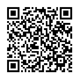 要知道王世子可是在一场举世关注的现场直播中说这番话的二维码生成