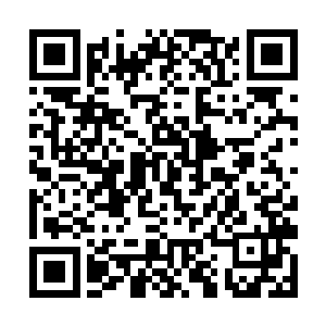 要知道现在汉中府的羊已经降到一两一钱银子一只了二维码生成