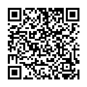 要知道生命树和善恶树可是天堂曾经的两大先天灵根二维码生成