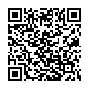 要知道田蜜可从来没见过如此狼狈不堪的慕心怡二维码生成