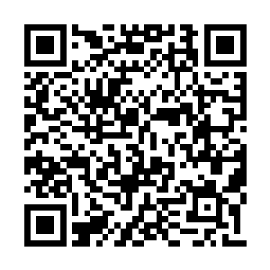 要知道白面可是替你照顾了我整整一个下午的呢二维码生成