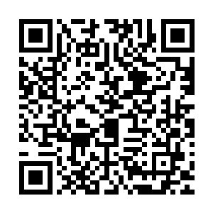 要知道百分之九十拥有界之力量的人全都是七鼎九阶的高手啊二维码生成