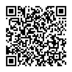 要知道皮野绫和淘宝拳等人在战旗直播可是已经有将近半年时间了二维码生成