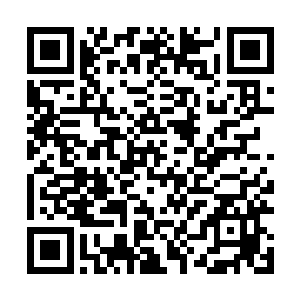 要知道秦方领教的虎头冲乃是陈亮在4级时候爆发出来的二维码生成