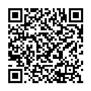 要知道老爷子和老太太现在一项都是不问世事的二维码生成
